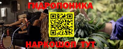 индика Пушкино