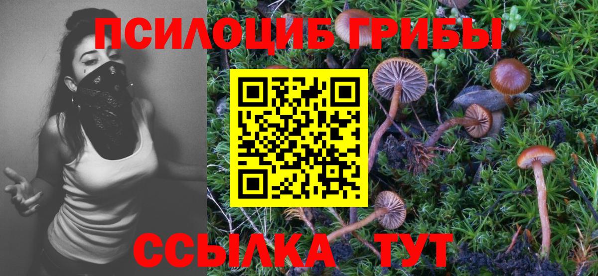 Псилоцибиновые грибы мицелий  Галлюциногенные грибы MAGIC MUSHROOMS  Свободный  Вход с VPN 